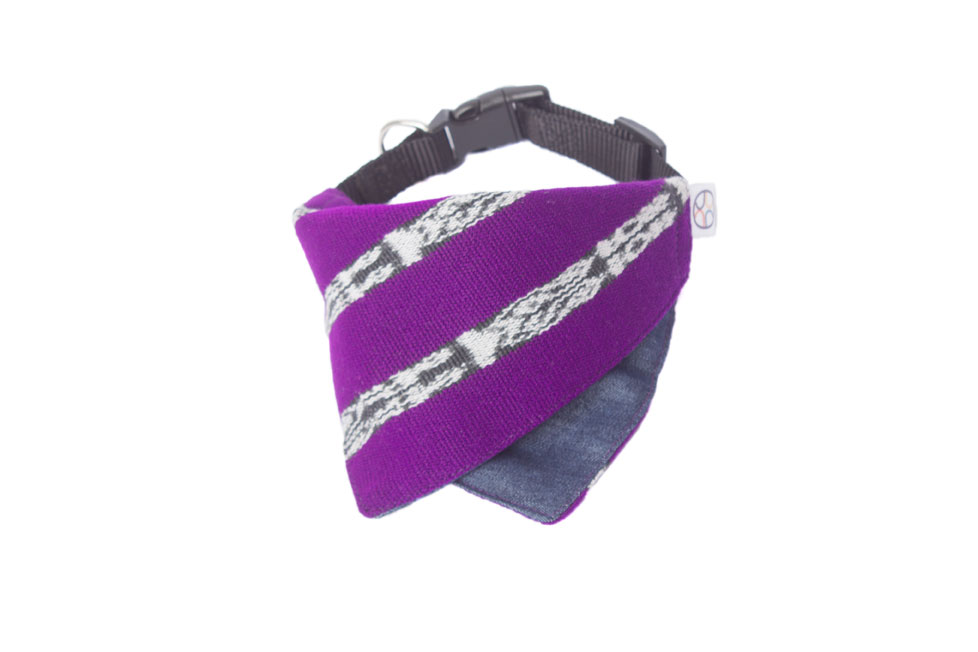 purple dog bandana